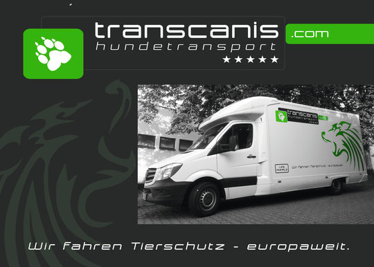 fahrzeug fahrzeug